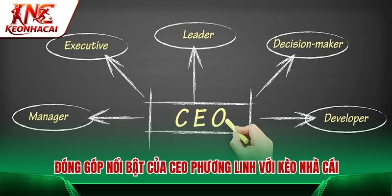 Những dấu ấn chiến lược của CEO Phương Linh