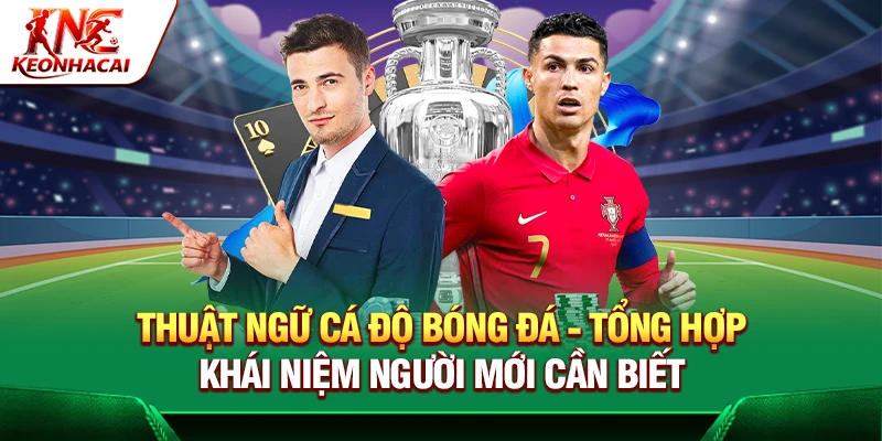 https://undrtd.io/thuat-ngu-ca-do-bong-da/
