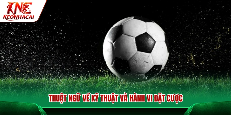 Các thuật ngữ cá độ bóng đá và kỹ thuật cần biết